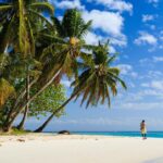 PL1 montagne dambre et ile de nosy be