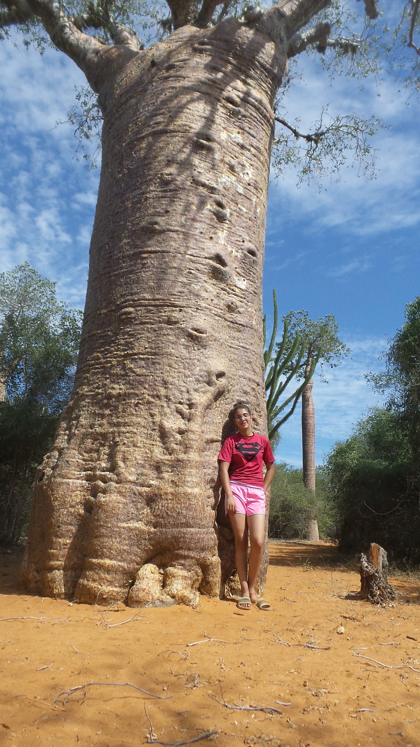Adolescents en activité manuelle ou atelier pratique