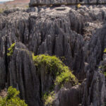 Formation rocheuse des Tsingy de Madagascar