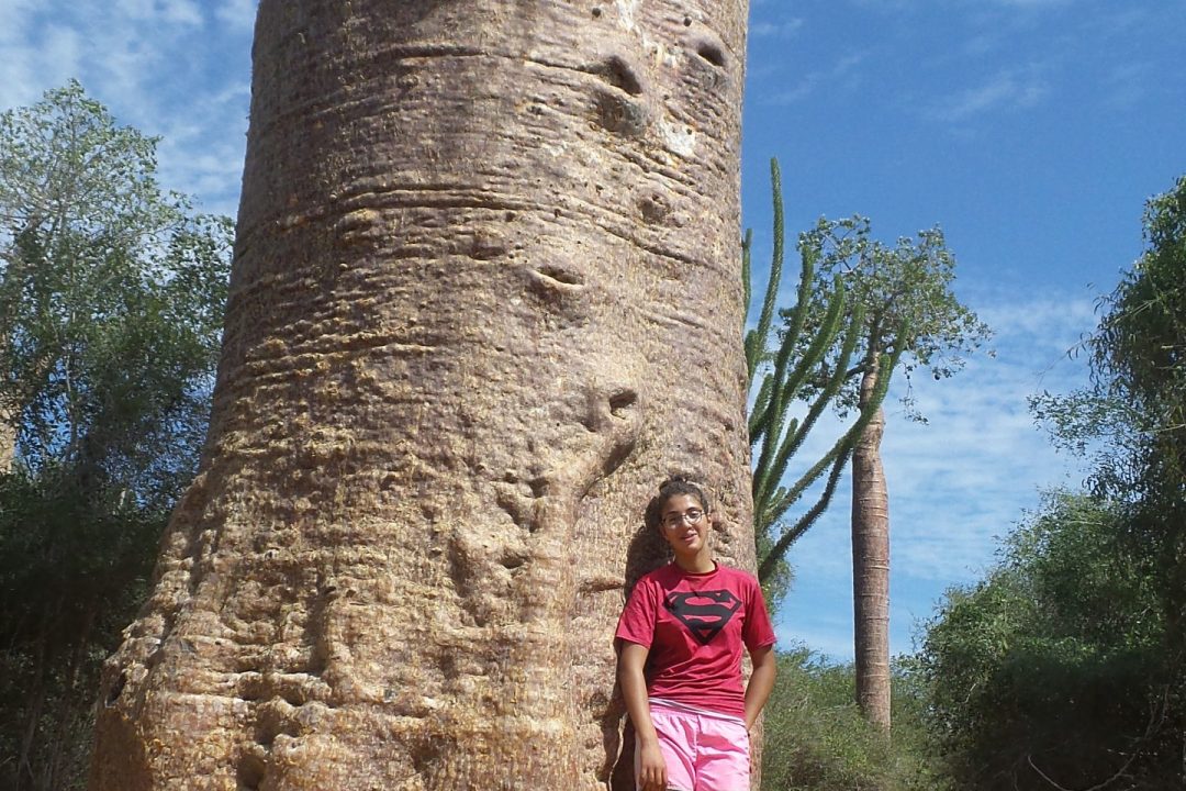 Adolescents en activité manuelle ou atelier pratique